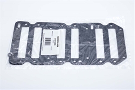 27-813859 Mercury OEM 135-225 EFI Reed Plate Gasket