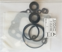 398873212M Lower Unit Seal Kit 9.9B & 15B HP 