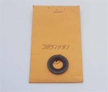 3851981 Gasket Oil Drain