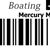 805536A 2 Cross Bearing Mercury OEM