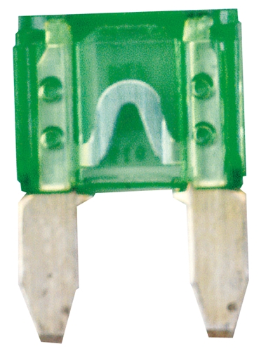 603930 30 Amp Atm Fuse (2)
