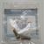 10-40001 71 Screw, M6x16 Reed to Reed Block