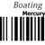 10-40011126 Mercury Screw, M6x13 SS Swivel Bracket