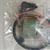 802363 Coil Johnson Evinrude 582091 Mercury OEM