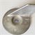 3C8-60217-1 Trim Tab Nissan Tohatsu Outboards